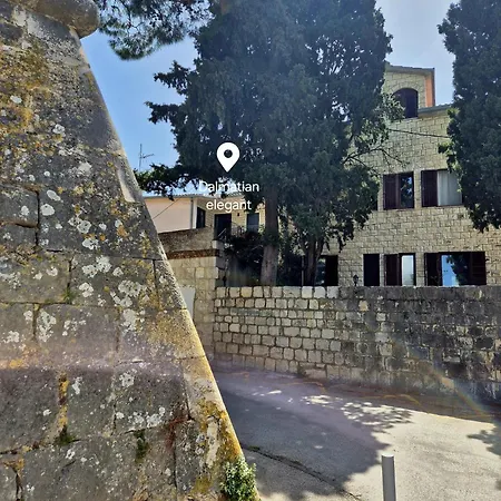 Dalmatian Elegant In The Center