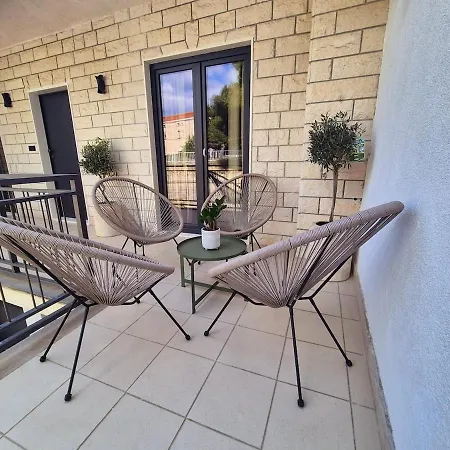 Dalmatian Elegant In The Center * Split