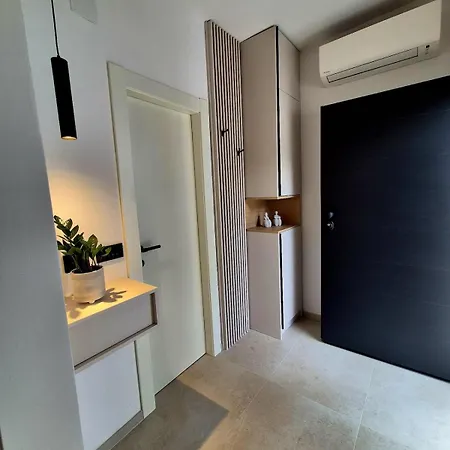 Dalmatian Elegant In The Center Apartment