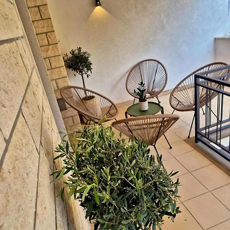 Dalmatian Elegant In The Center