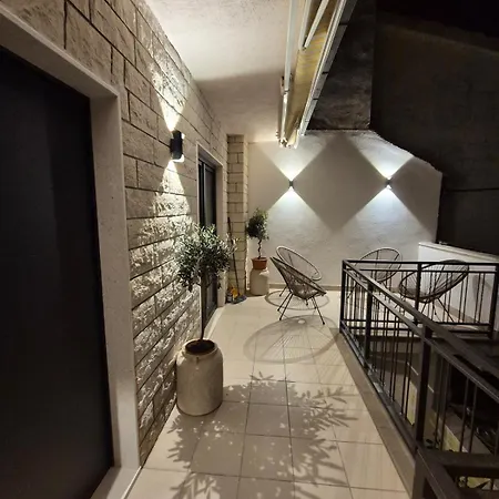 Dalmatian Elegant In The Center