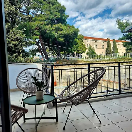 Dalmatian Elegant In The Center * Split