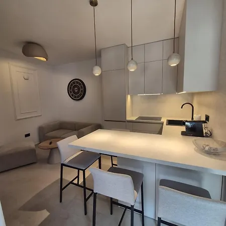 Dalmatian Elegant In The Center Apartment Split