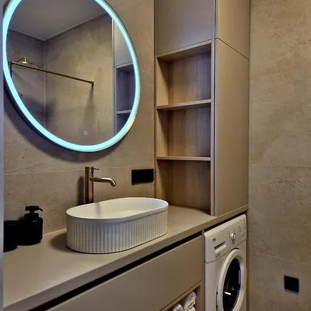 Dalmatian Elegant In The Center *