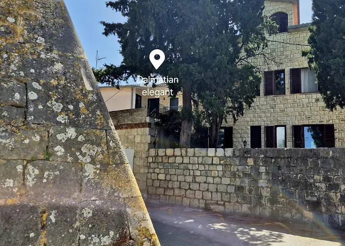 Dalmatian Elegant In The Center