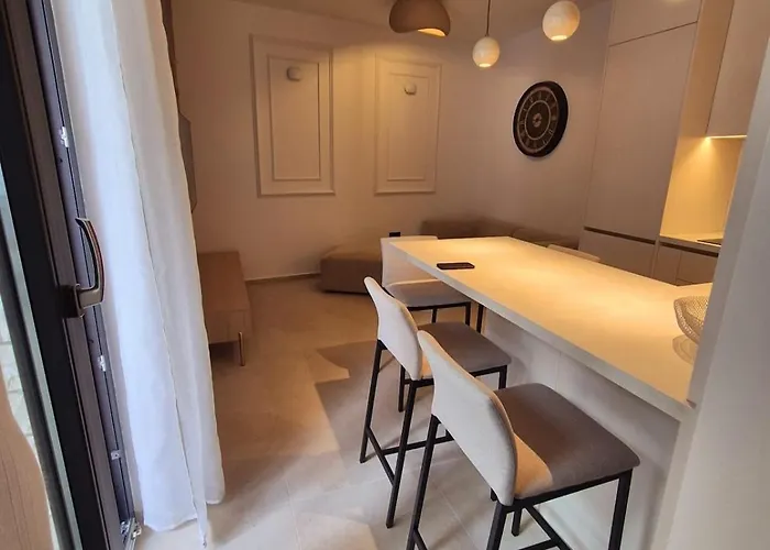 Dalmatian Elegant In The Center * 斯普利特