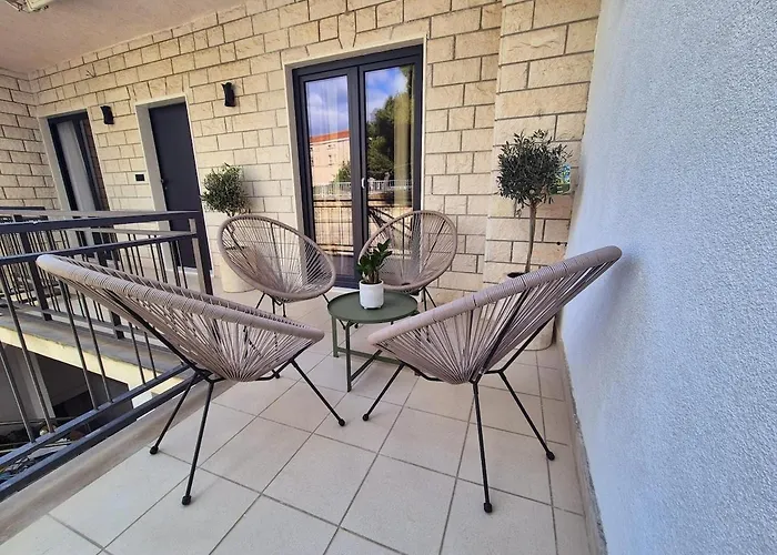 Dalmatian Elegant In The Center * 斯普利特