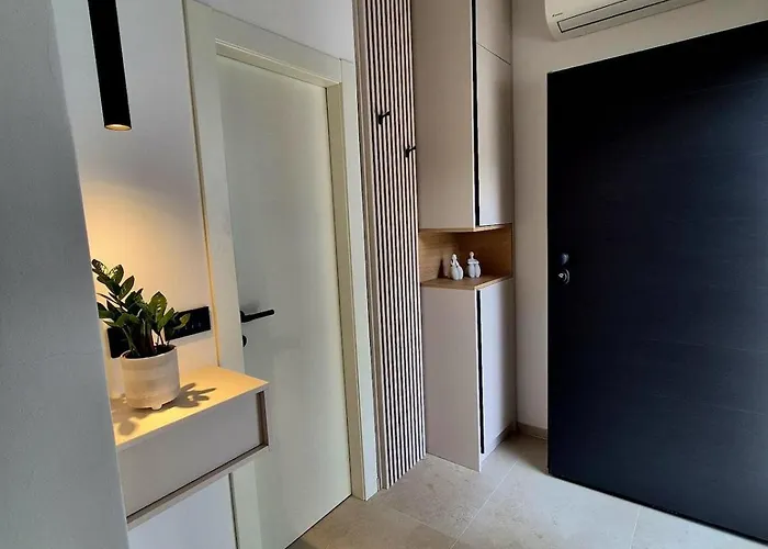 Dalmatian Elegant In The Center 公寓