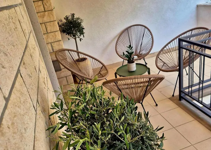 Dalmatian Elegant In The Center