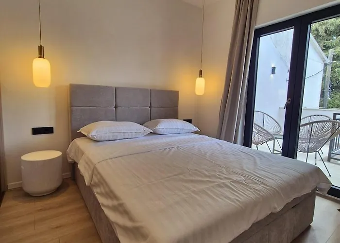 Dalmatian Elegant In The Center 公寓