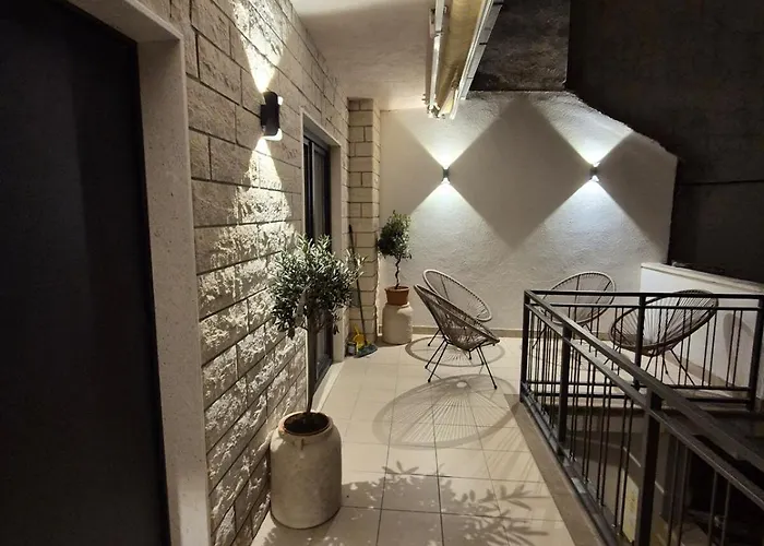 Dalmatian Elegant In The Center