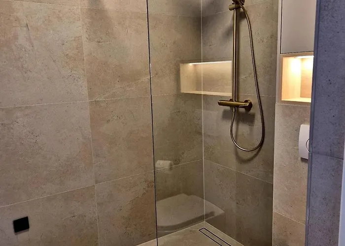 Dalmatian Elegant In The Center 公寓