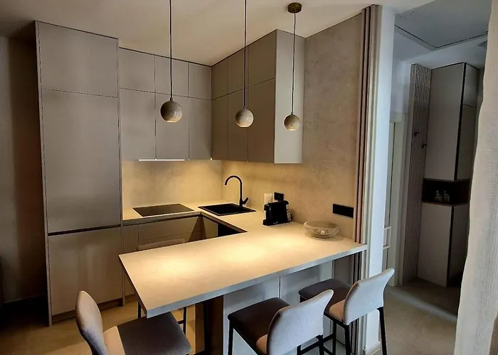 Dalmatian Elegant In The Center 斯普利特