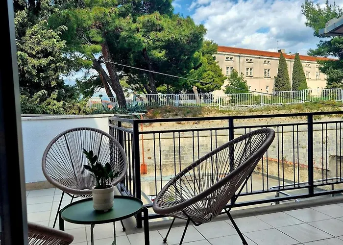 Dalmatian Elegant In The Center * 斯普利特