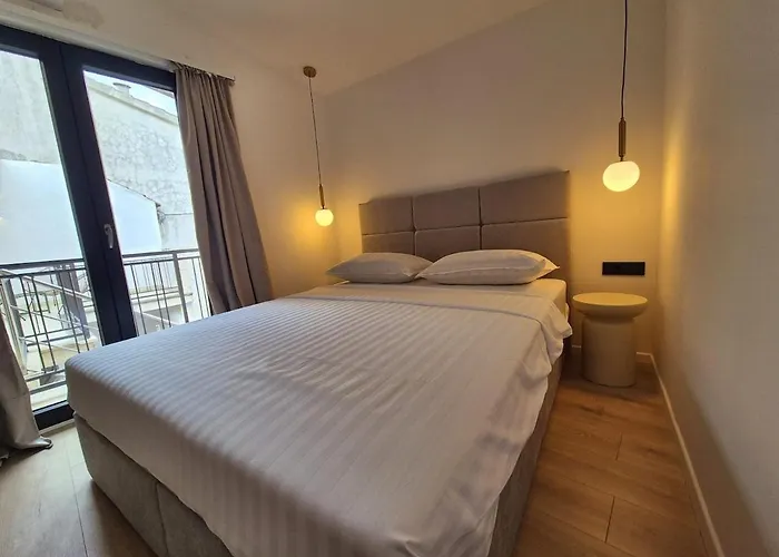 Dalmatian Elegant In The Center *