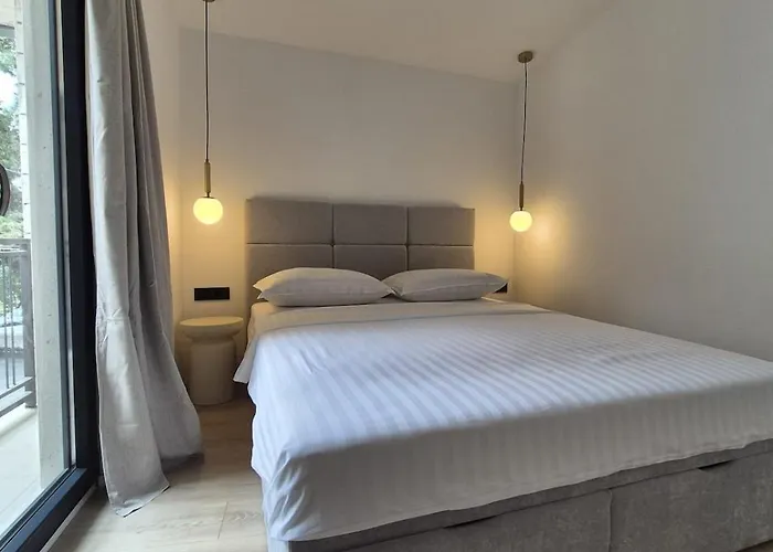 Dalmatian Elegant In The Center 公寓