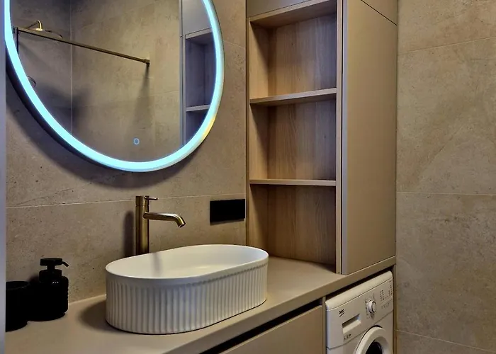 Dalmatian Elegant In The Center *