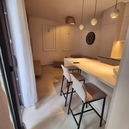 Dalmatian Elegant In The Center * Split