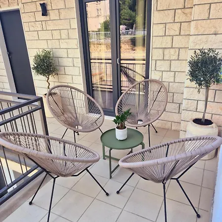 Dalmatian Elegant In The Center Split